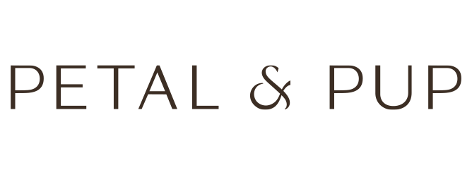 Elegant Women Wear Store