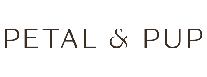 Elegant Women Wear Store